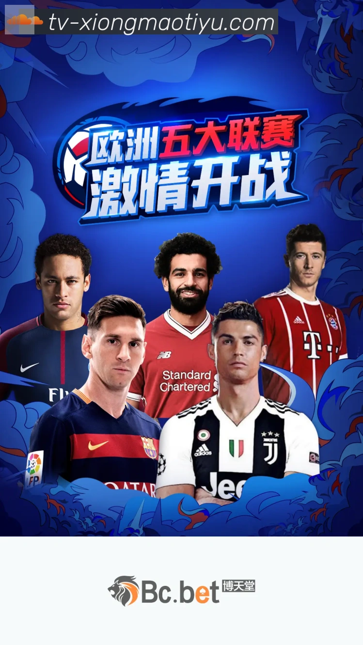 平台使命图